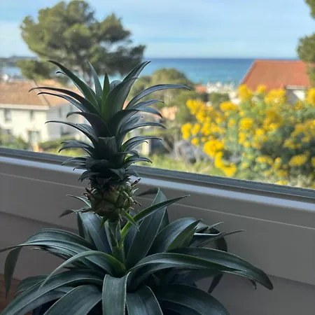 Magnifique Duplex - Jardin - Vue Et Sanary A Pied شقة *